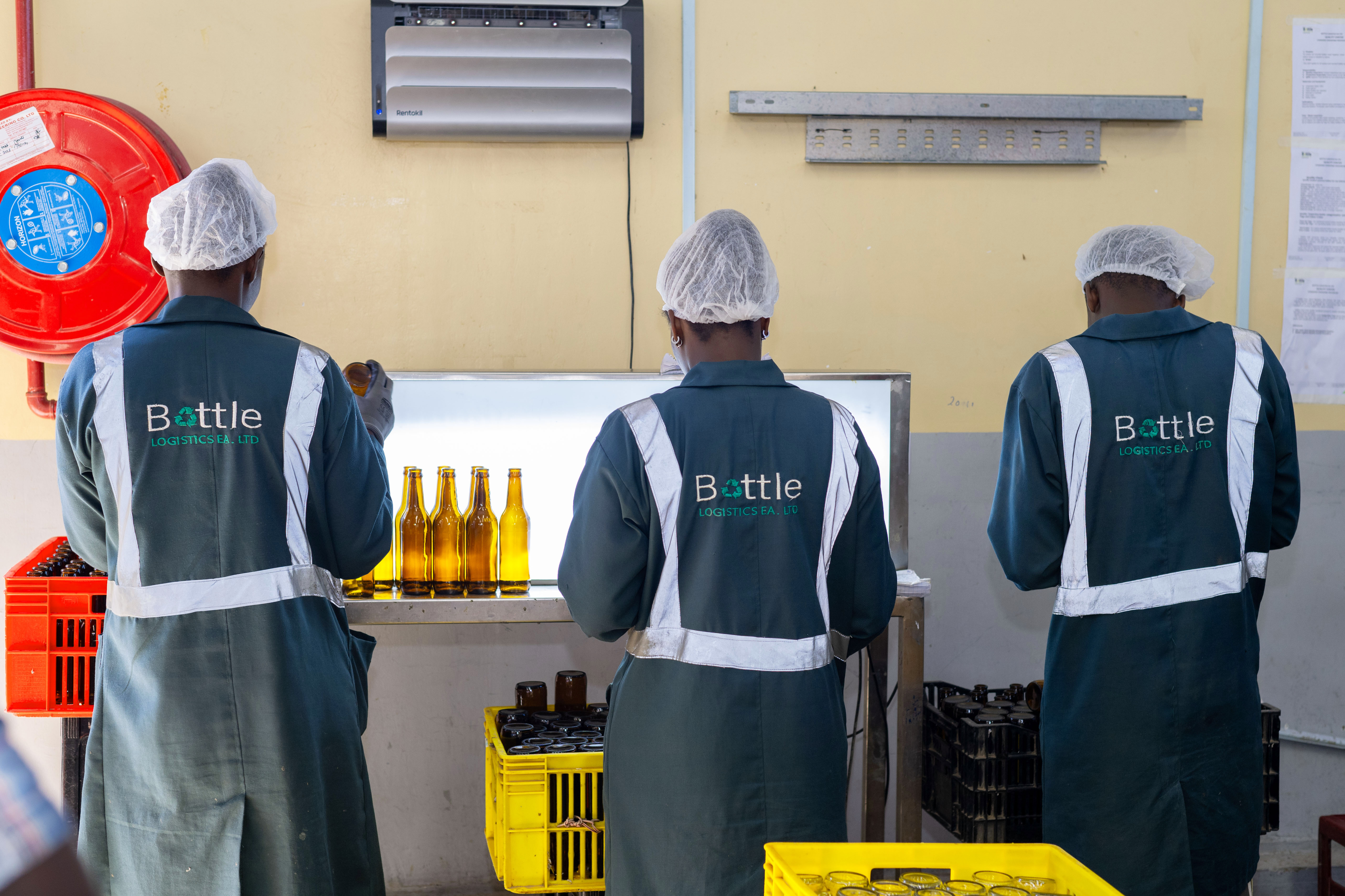 Quality inspection and sorting